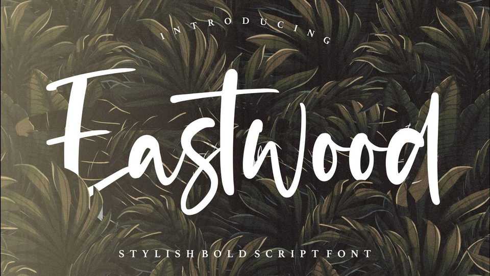 Eastwood Font › Fontesk