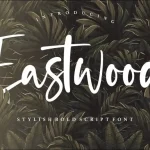 Eastwood Stylish Bold Script Font