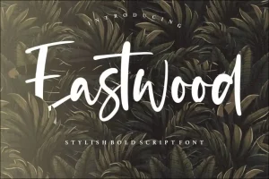 Eastwood Stylish Bold Script Font