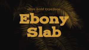 Ebony Slab Font Family › Fontesk