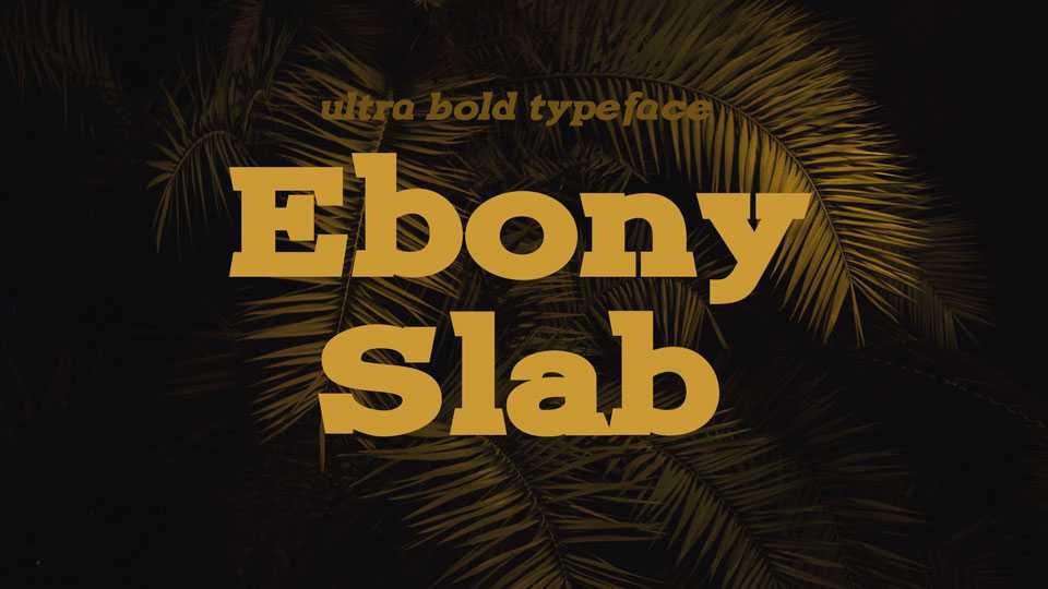 Ebony Slab Font Family › Fontesk