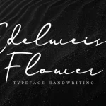 Edelweiss Flower Handwritten Font - Fonte Grátis Edelweiss Flower Handwritten Font