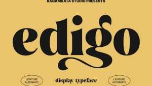 Edigo Font › Fontesk
