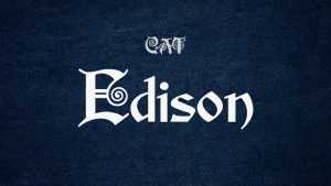 Edison Font › Fontesk