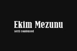 Ekim Mezunu Slab Serif Font