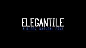 Elegantile Font › Fontesk