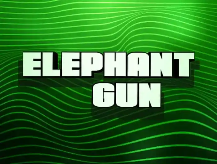Elephant Gun Display Font