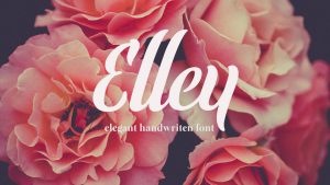 Elley Font › Fontesk