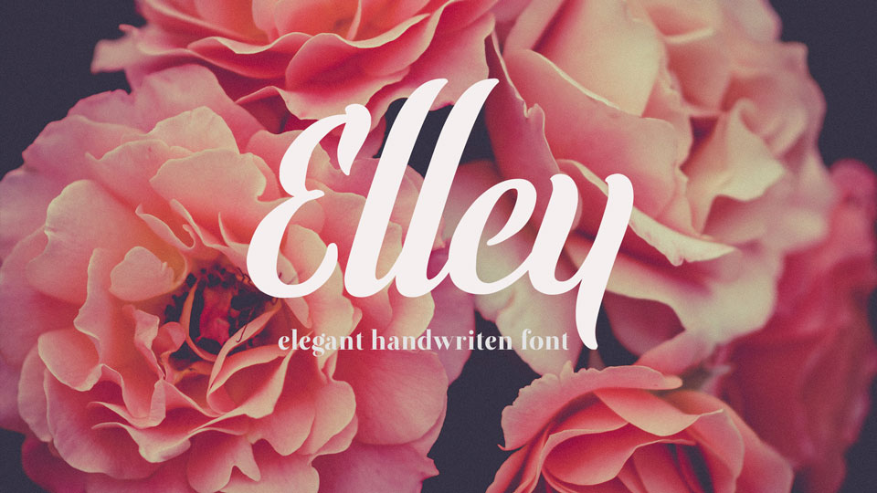 Elley Font › Fontesk