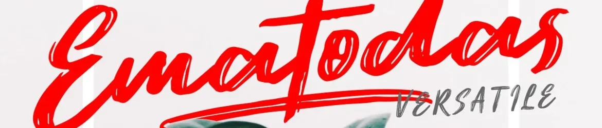 Ematodas Brush Font