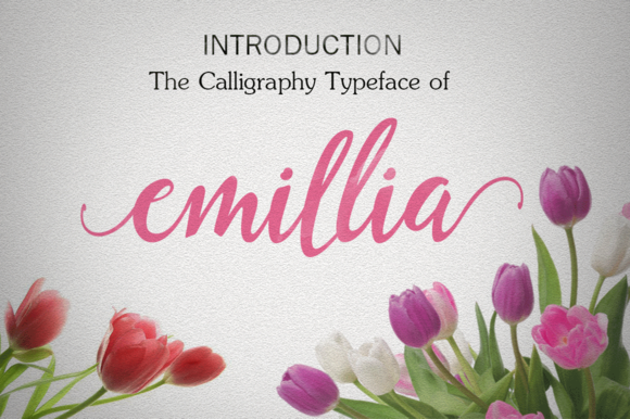 Emillia Script