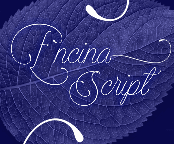 Encina Script Font