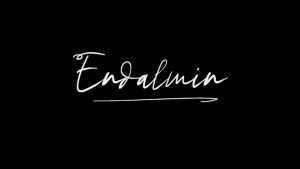 Endalmin Font › Fontesk