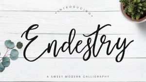 Endestry Script Font › Fontesk