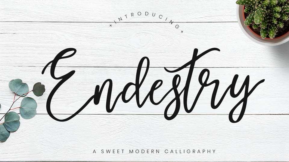 Endestry Script Font › Fontesk