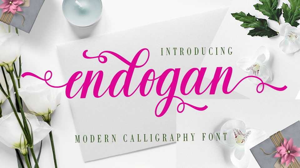 Endogan Script Font › Fontesk