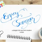 Enjoy Summer Script Font