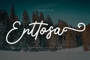 Enttosa Script Font
