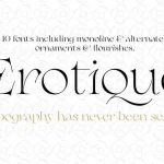 Erotique Serif Font Family