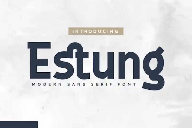 Estung Sans Serif Font