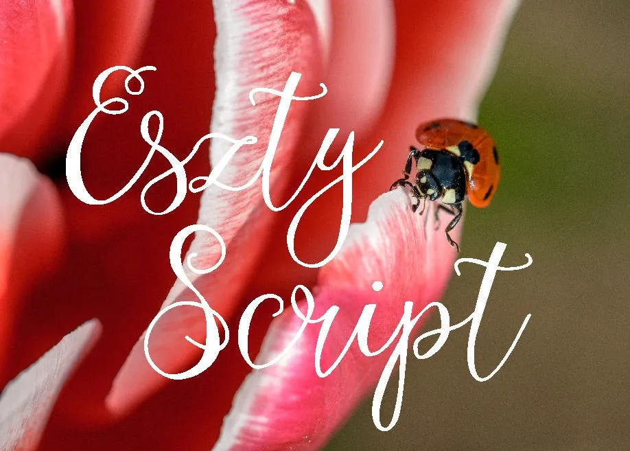 Eszty Script Font
