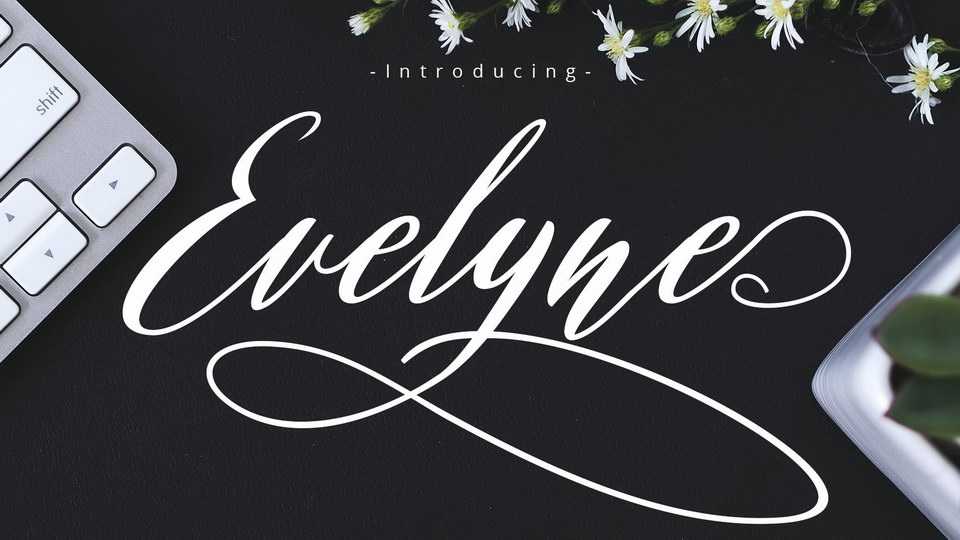 Evelyne Script › Fontesk