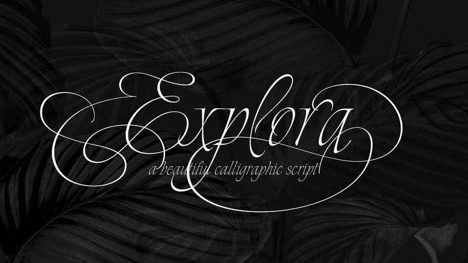 Explora Script Font › Fontesk