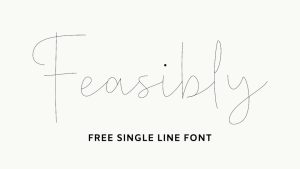 Feasibly Font › Fontesk