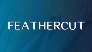 Feathercut Font Family › Fontesk