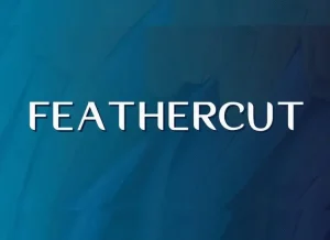Feathercut Sans Serif Font Family
