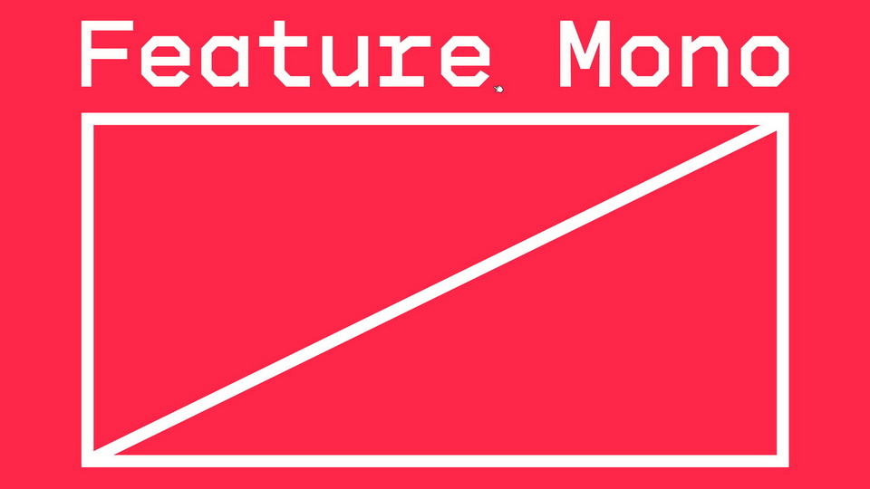 Feature Mono Font Family › Fontesk