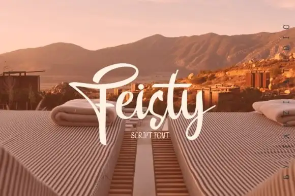 Feisty Script Font