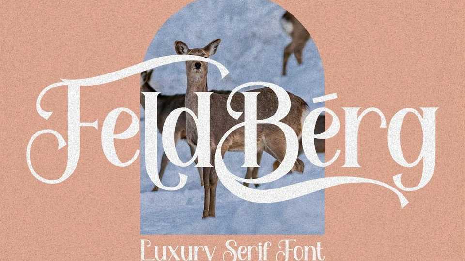 Feldberg Font › Fontesk