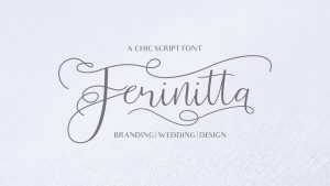 Ferinitta Script Font › Fontesk