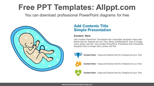 Fetal Growth PowerPoint Diagram