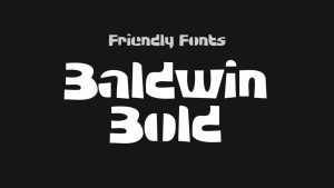 FF Baldwin Bold Font › Fontesk