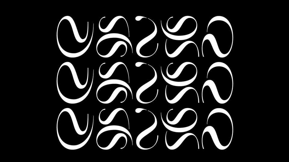 FF Cairo Font › Fontesk