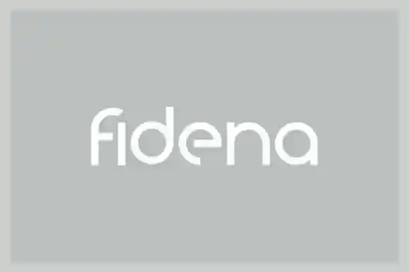 Fidena Sans Serif Font