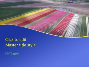 Fields PowerPoint Template