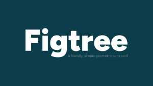 Figtree Font Family › Fontesk