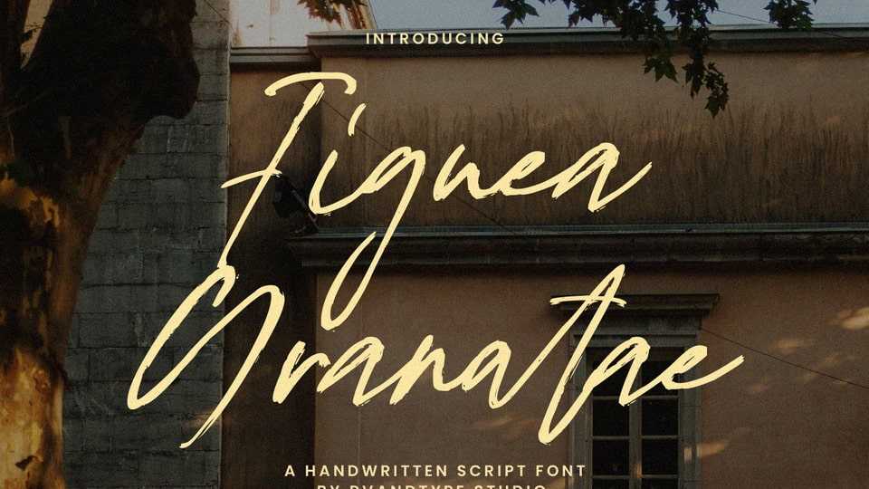 Figuea Granatae Font › Fontesk