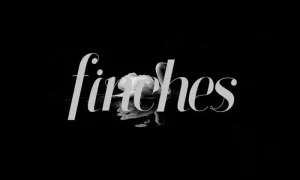 Finches Typeface