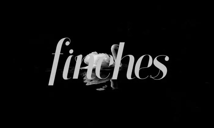 Finches Typeface