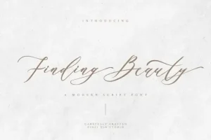 Finding Beauty Script Font