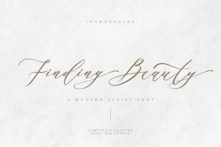 Finding Beauty Script Font