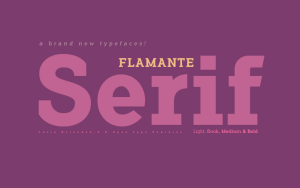 Flamante Serif Fonts