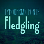 Fledgling Font