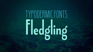 Fledgling Font