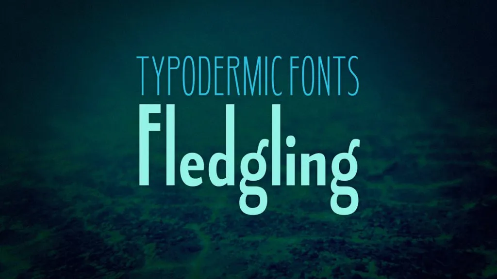 Fledgling Font