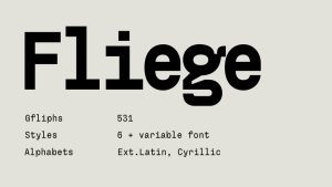 Fliege Mono Font › Fontesk